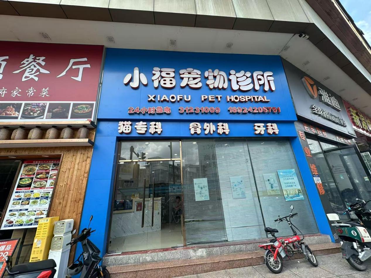 图片4